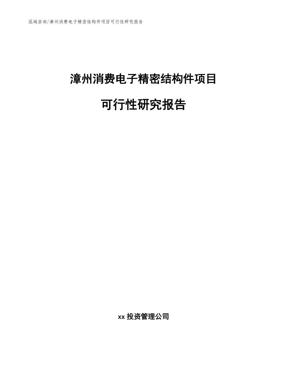 漳州消费电子精密结构件项目可行性研究报告（范文参考）_第1页