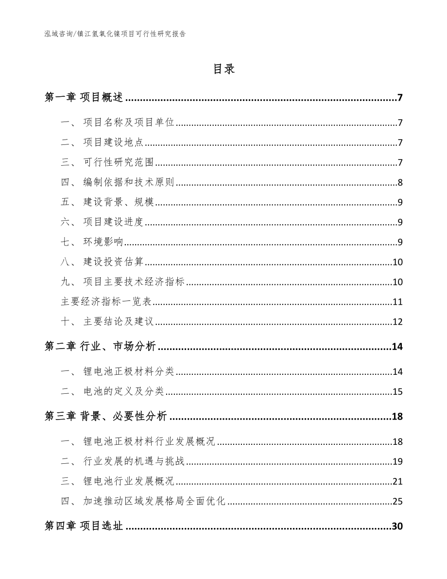 镇江氢氧化镍项目可行性研究报告【范文】_第1页