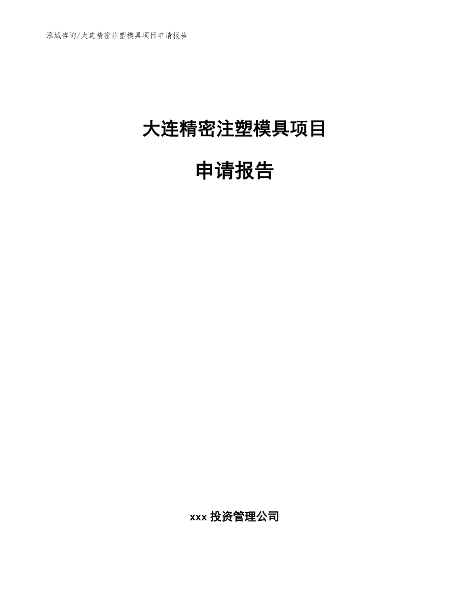 大连精密注塑模具项目申请报告【模板范文】_第1页