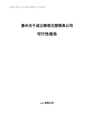 惠州关于成立精密注塑模具公司可行性报告【范文模板】
