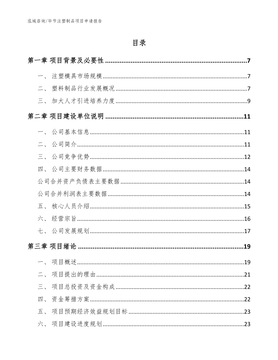 毕节注塑制品项目申请报告（模板范本）_第1页