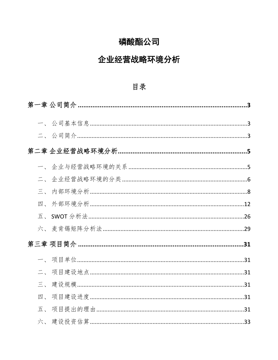 磷酸酯公司企业经营战略环境分析_参考_第1页