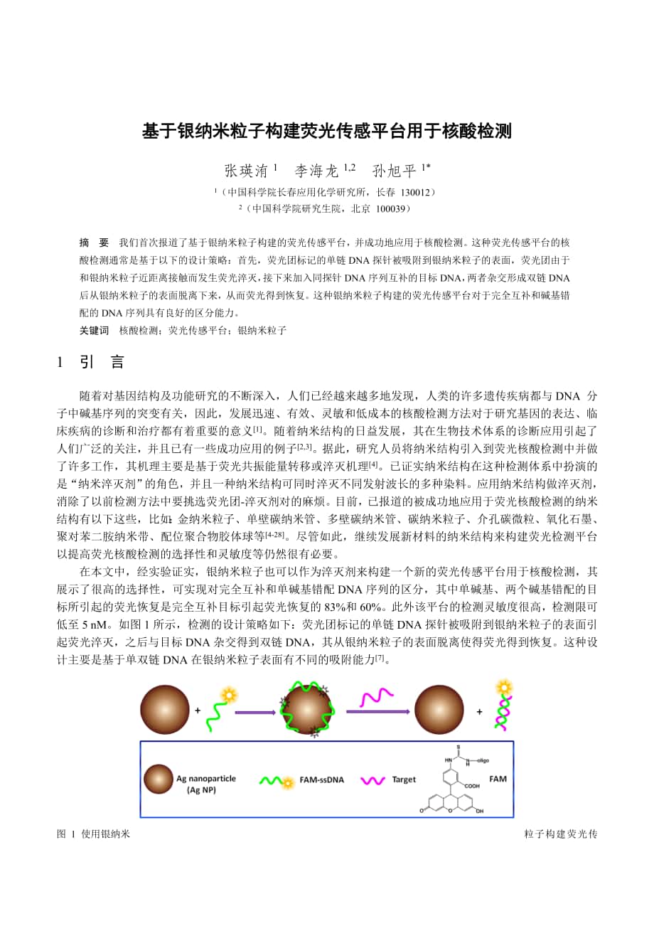 论文设计基于银纳米粒子构建荧光传感平台用于核酸检测24917_第1页