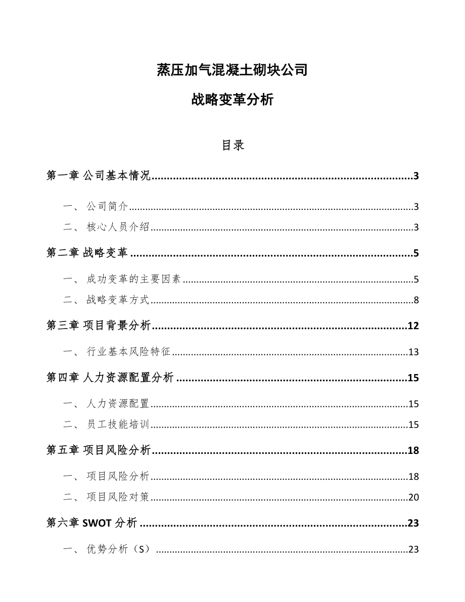 蒸压加气混凝土砌块公司战略变革分析（范文）_第1页