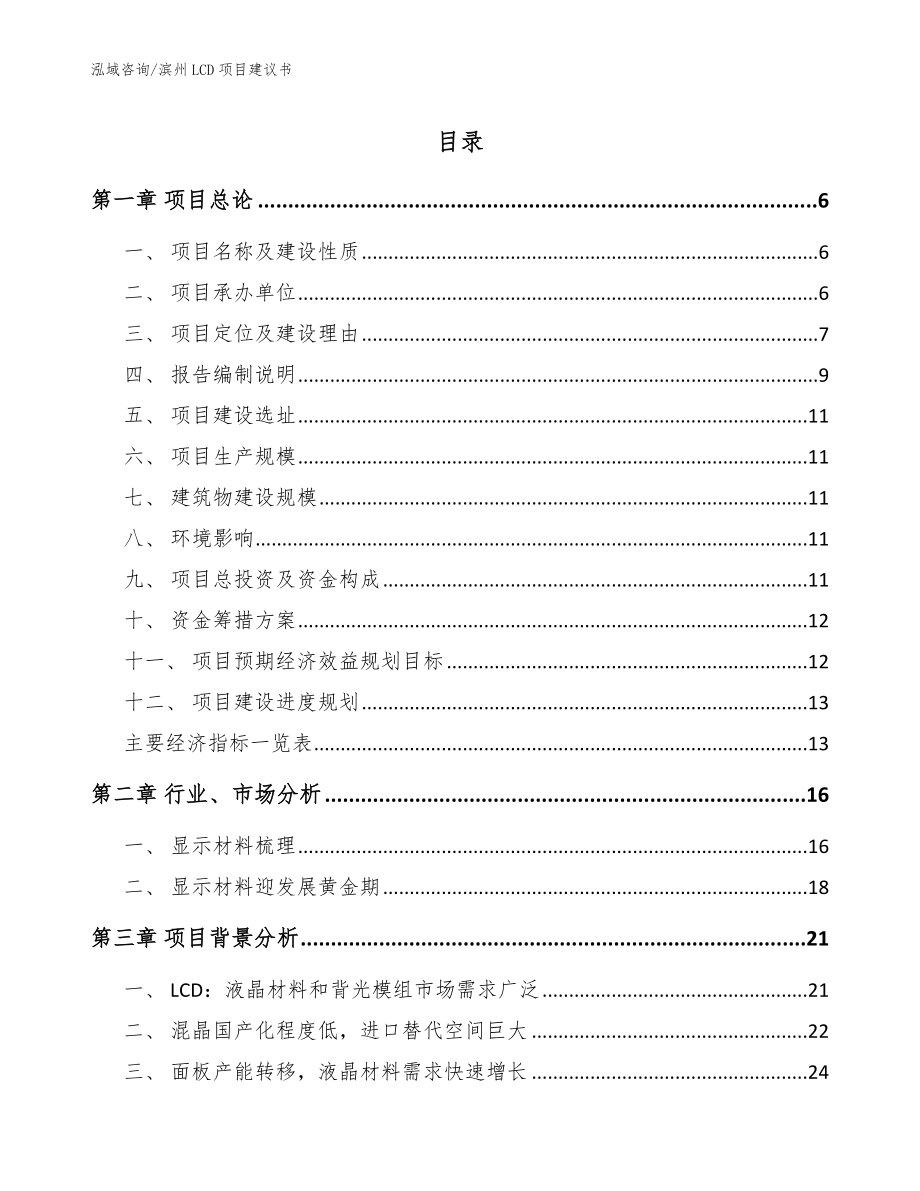 滨州LCD项目建议书_参考范文_第1页