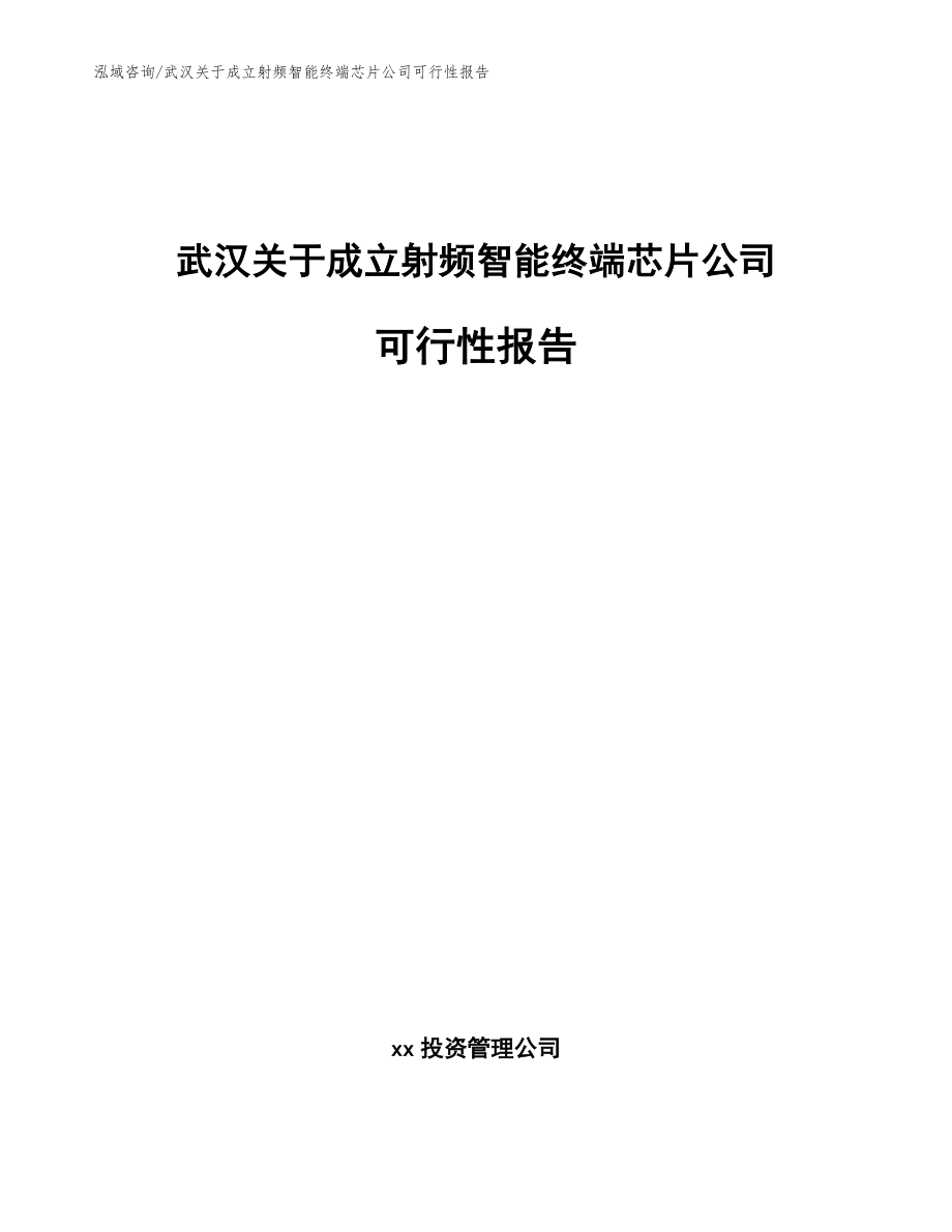 武汉关于成立射频智能终端芯片公司可行性报告_范文_第1页