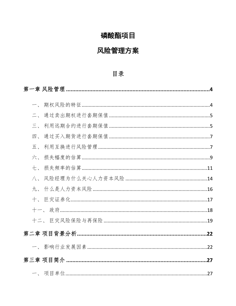 磷酸酯项目风险管理方案_第1页