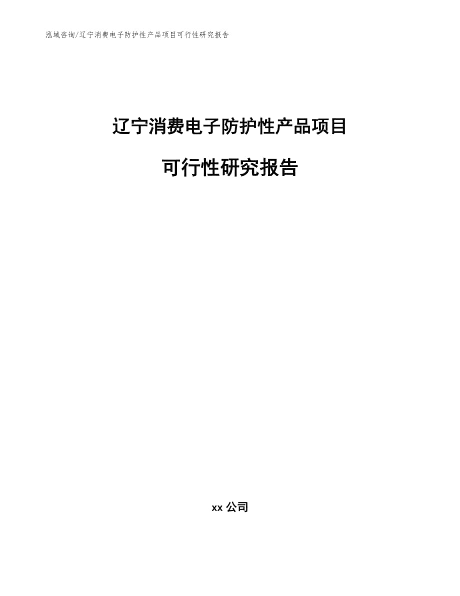 辽宁消费电子防护性产品项目可行性研究报告范文_第1页