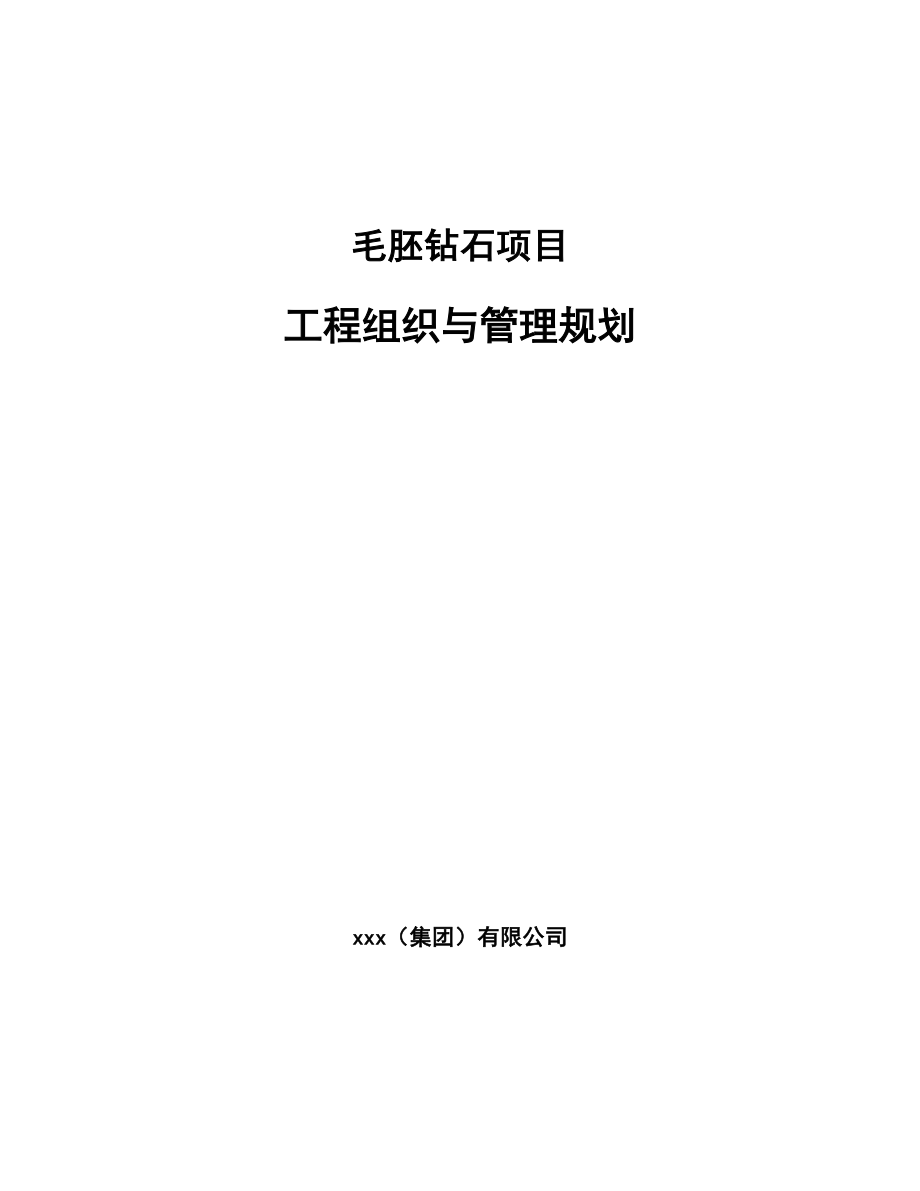 毛胚钻石项目工程组织与管理规划_范文_第1页