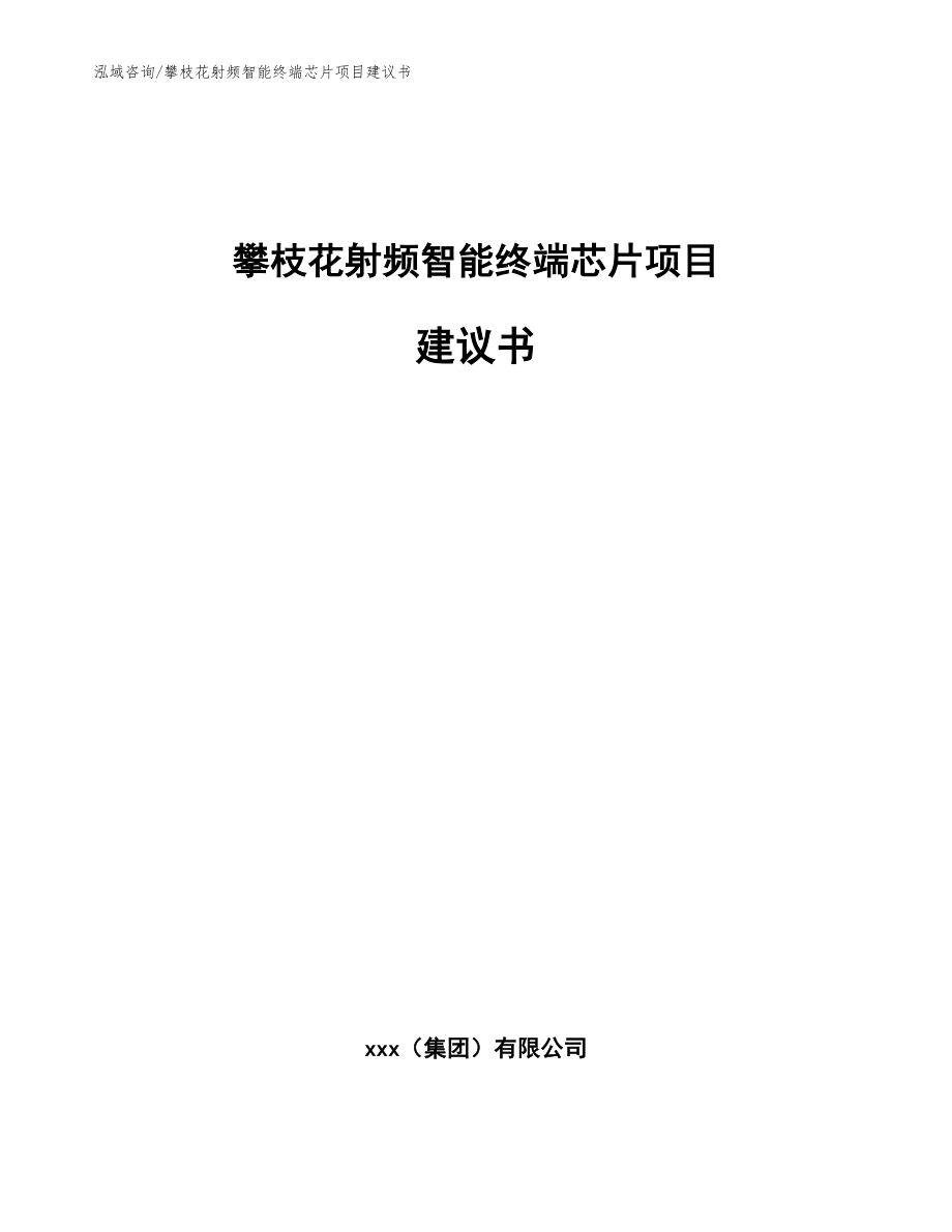 攀枝花射频智能终端芯片项目建议书_范文参考_第1页