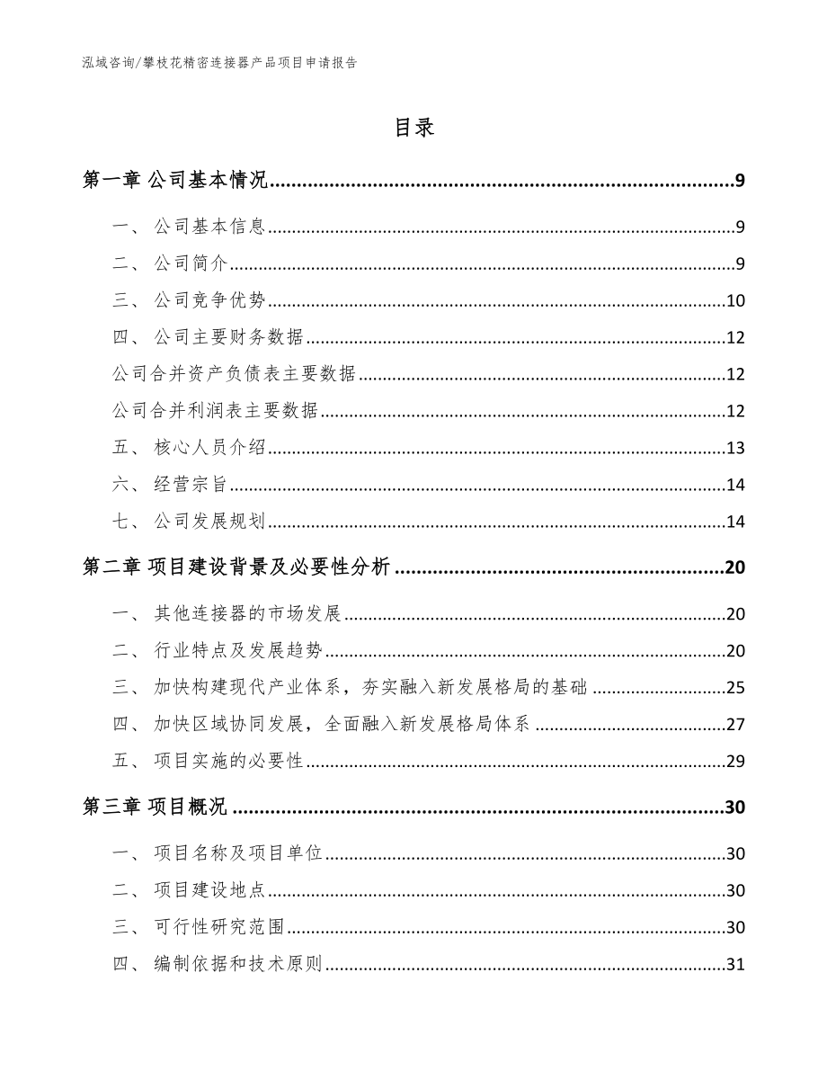 攀枝花精密连接器产品项目申请报告（参考范文）_第1页