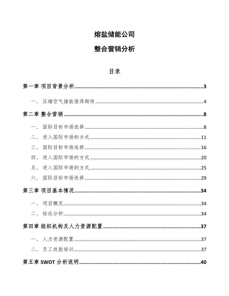 熔盐储能公司整合营销分析_第1页