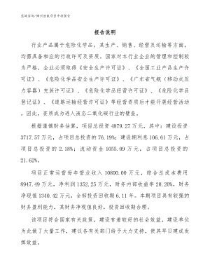 锦州液氨项目申请报告（模板参考）
