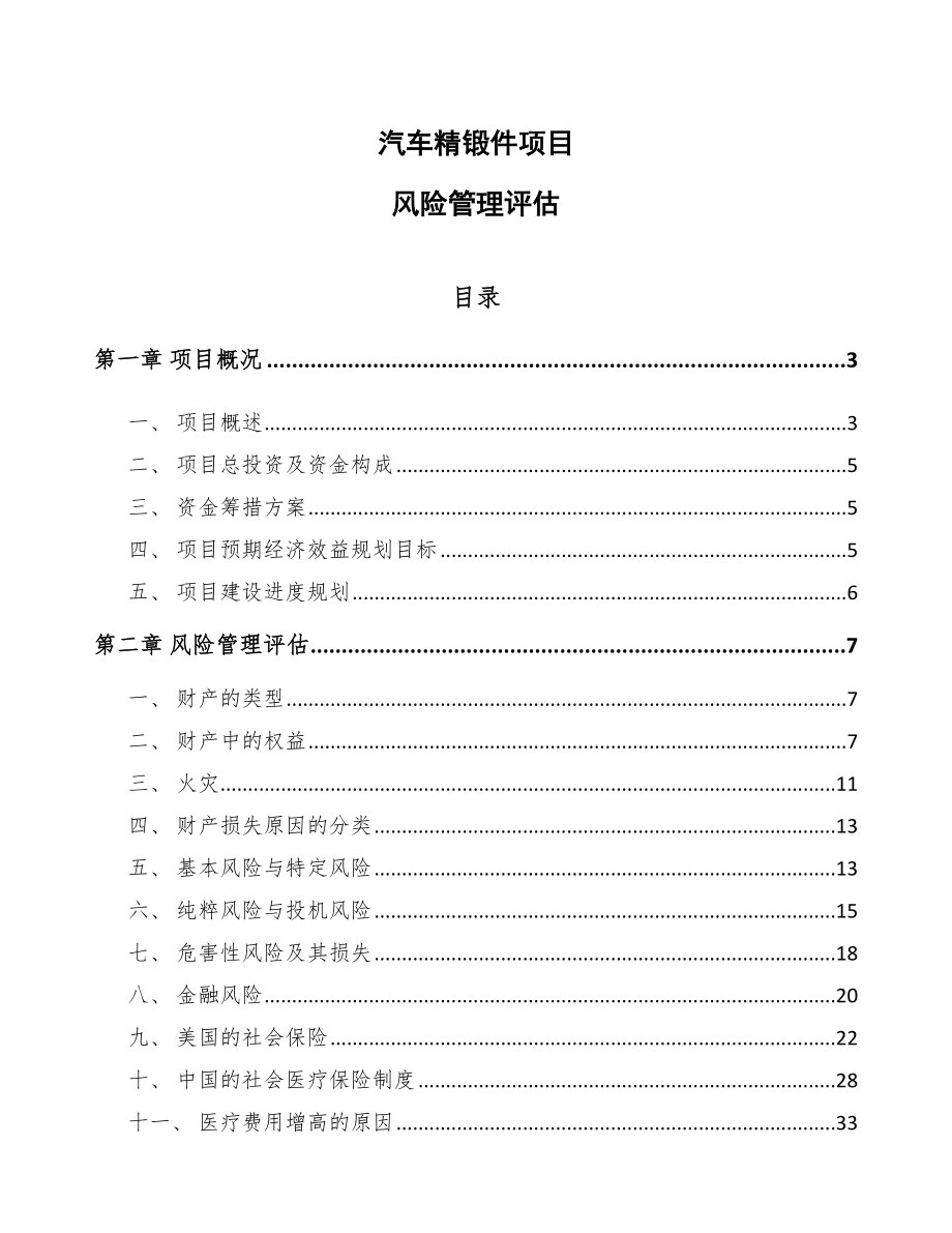 汽车精锻件项目风险管理评估【范文】_第1页