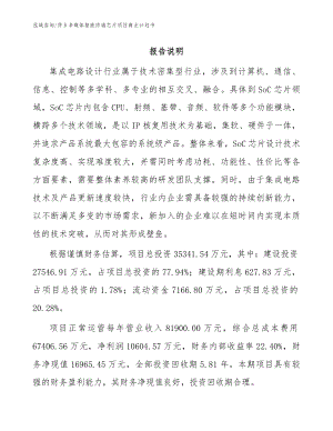 萍乡多媒体智能终端芯片项目商业计划书_范文