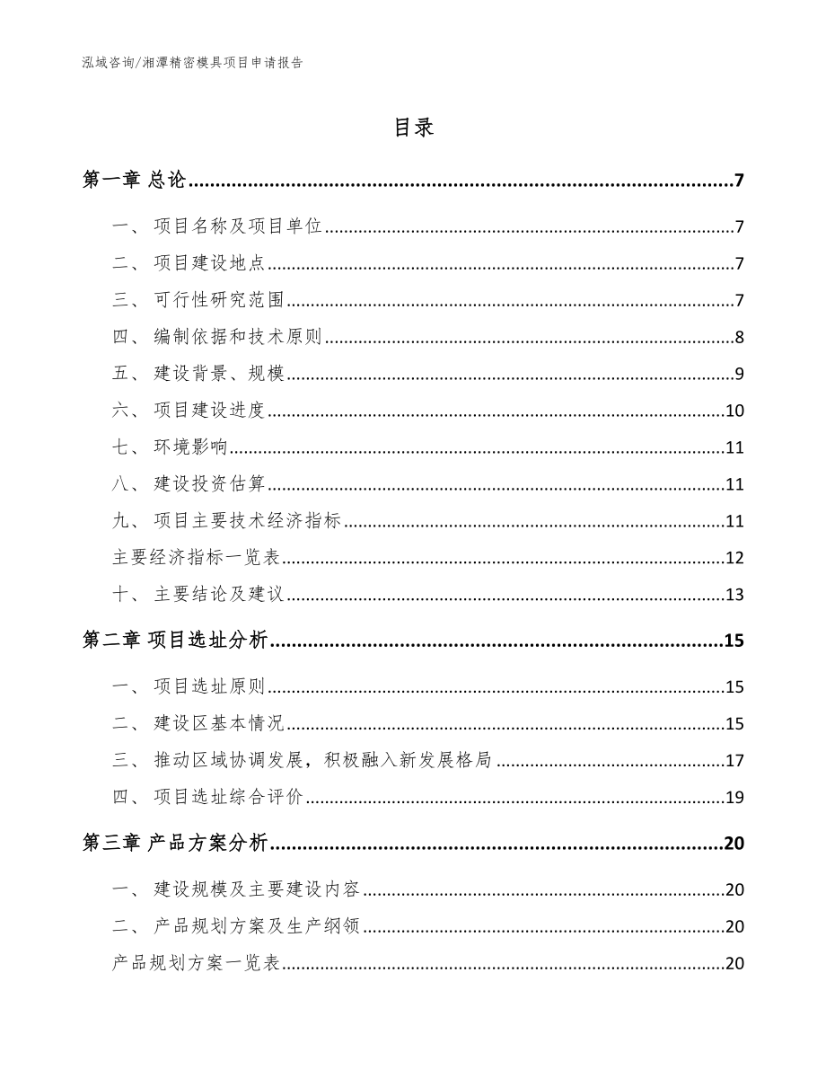湘潭精密模具项目申请报告（模板）_第1页