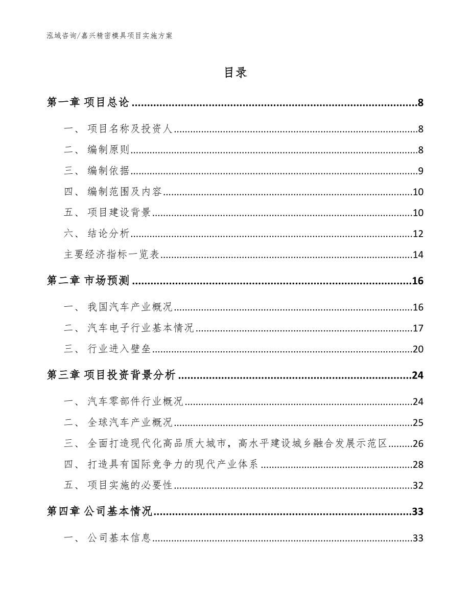 嘉兴精密模具项目实施方案_模板参考_第1页