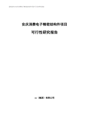 安庆消费电子精密结构件项目可行性研究报告（模板范文）