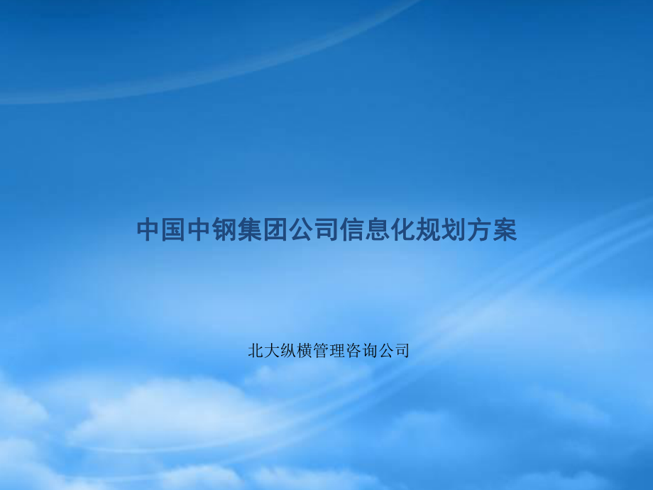 中国中钢集团公司信息化规划方案_第1页