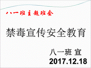 禁毒教育主題班會《禁毒宣傳》ppt通用課件03