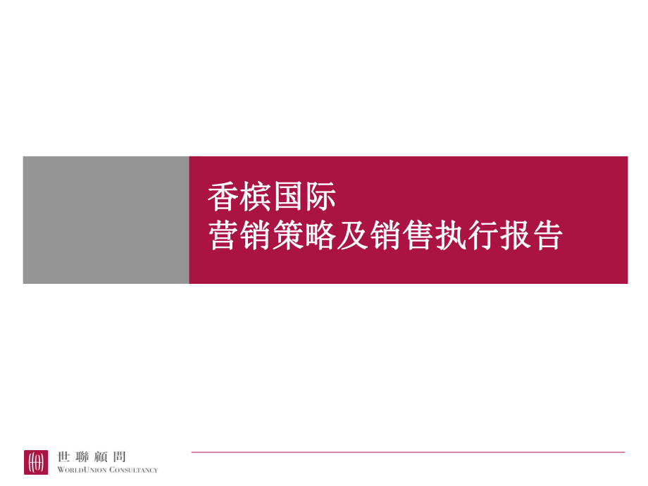 國際營銷策略及銷售執(zhí)行報(bào)告推廣策劃方案_第1頁