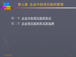 07第七章 企業(yè)中的項目組織管理