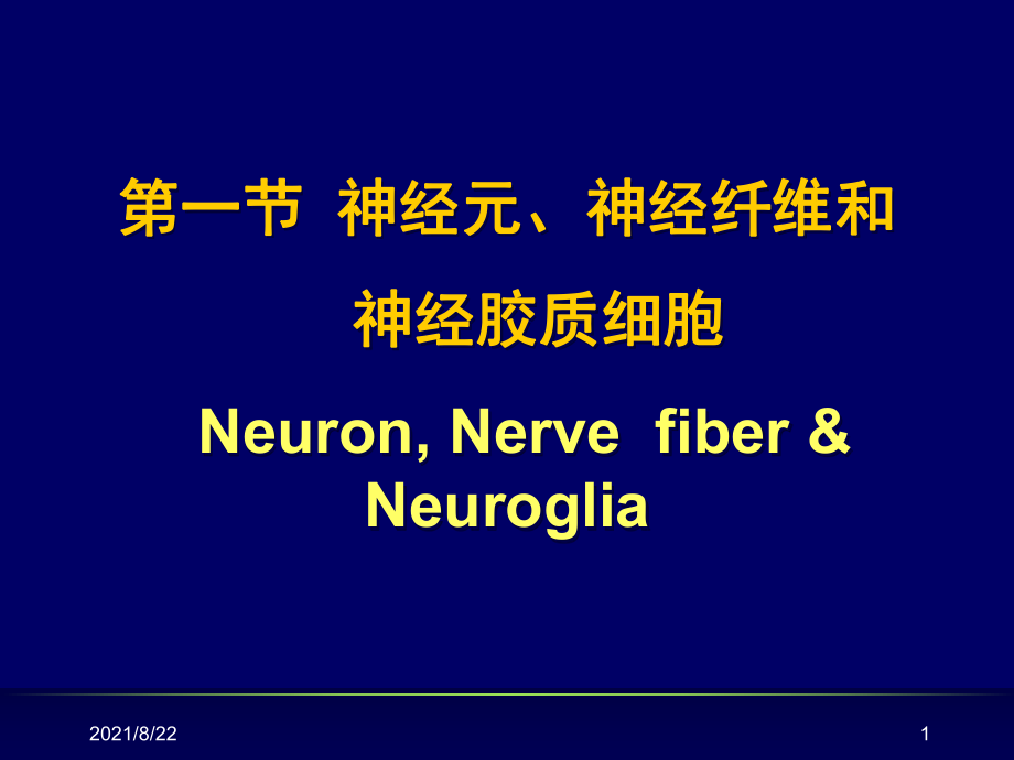 神经元、神经纤维和神经胶质细胞推荐课件_第1页