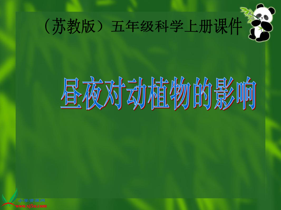 蘇教版小學(xué)科學(xué)五年級(jí)上冊(cè)《晝夜對(duì)動(dòng)植物的影響》課件_第1頁(yè)