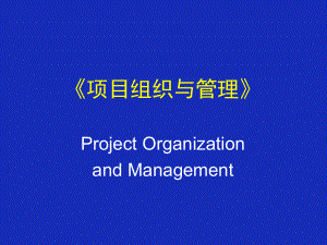 1-1项目管理-项目组织与管理(1)