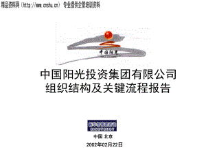 中国阳光投资集团组织结构及关键流程报告(1)