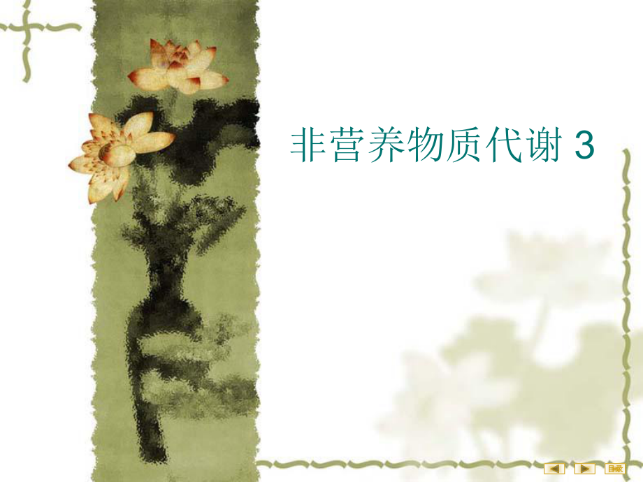 非營養(yǎng)物質(zhì)代謝 3課件_第1頁