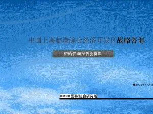 上海某综合经济开发区战略咨询报告