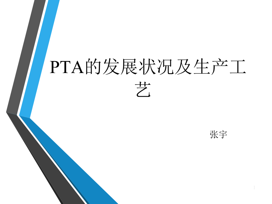 PTA的发展状况及生产工艺培训课件_第1页