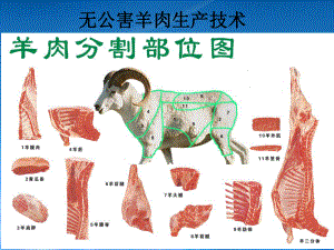 无公害羊肉生产技术