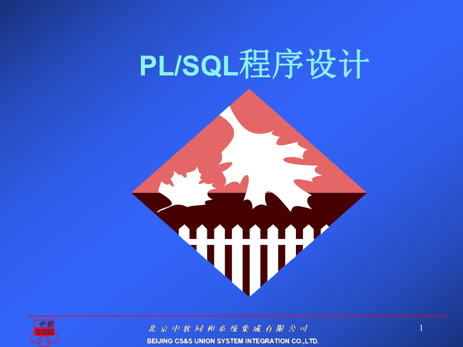 PLSQL程序设计_第1页