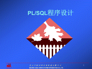 PLSQL程序设计