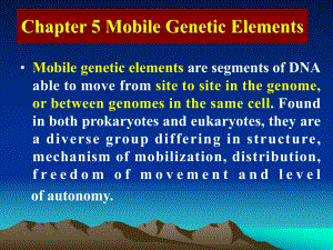 《分子遗传学》Chapter 5 Mobile Genetic Elements