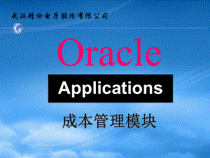 武汉某电子股份有限公司Oracle成本管理模块