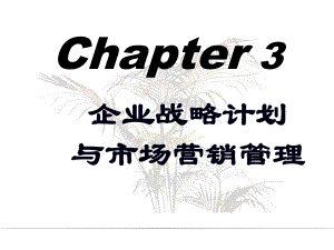 第3章企业战略计划1