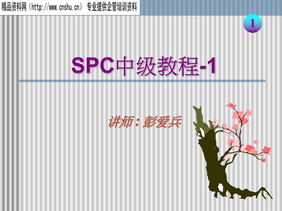 SPC统计中级培训教程_第1页