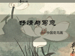 抒情与写意中国花鸟画七年级上册课件