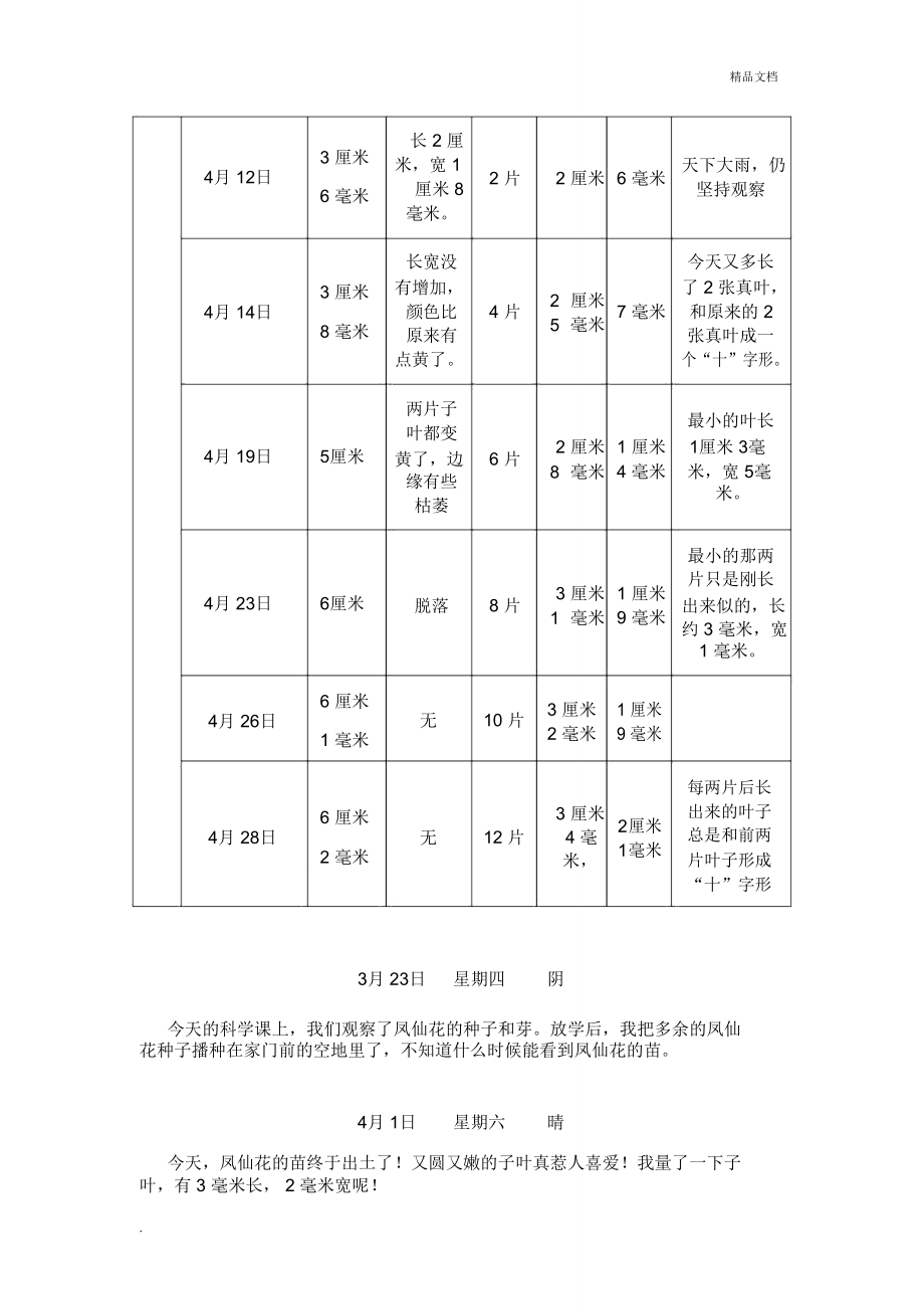 凤仙花成长记录表图片