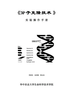 分子克隆技术实验操作手册