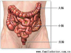 结肠造瘘口术后护理