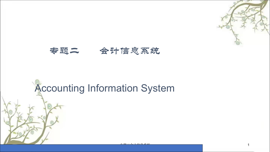 专题二会计信息系统课件_第1页