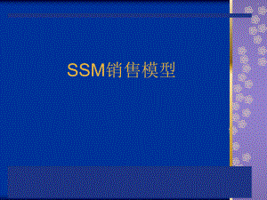 SSM销售模型-课件PPT