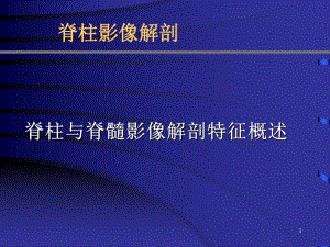 优质课件脊柱影像解剖