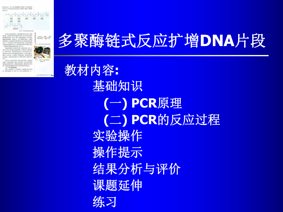 多聚酶链式反应(PCR)PPT_第1页