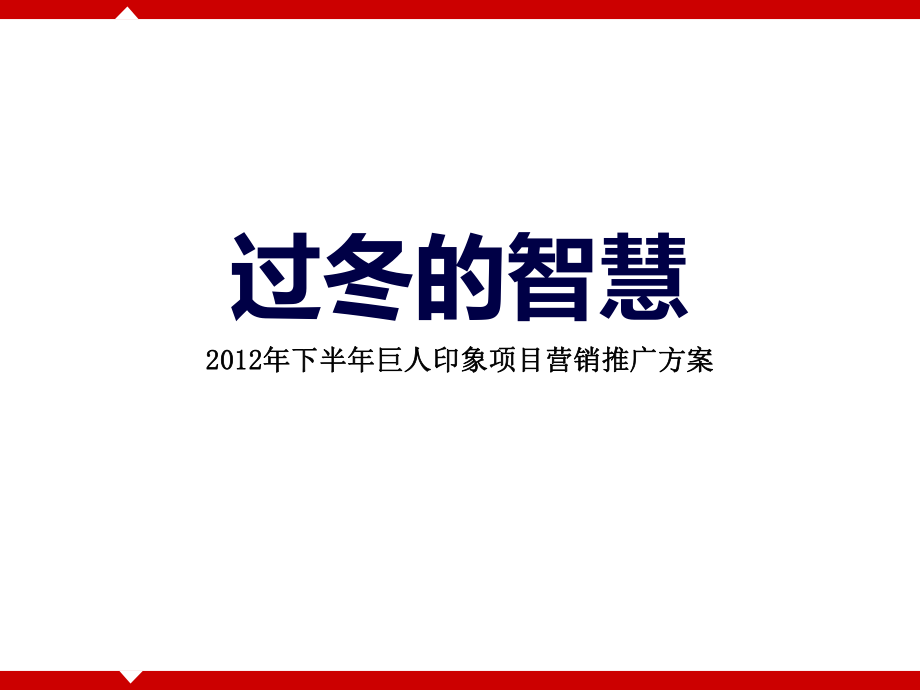 795088983下半年毫州巨人印象项目营销推广方案_第1页