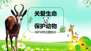 绿色小清新卡通儿童保护动物主题班会内容PPT汇报